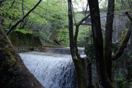 L' Irpinia vista da vicino, oro nero o oro blu? 