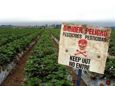 Pesticidi, associazioni presentano documento unitario