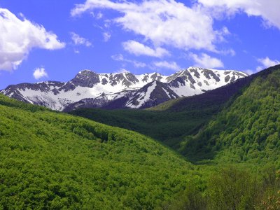 Parchi e riserve, da enti inutili a giardini per pochi