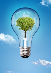 Energia elettrica verde o 'greenwashing'? Districarsi tra le offerte