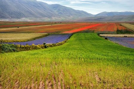 Antichi per il futuro. In Umbria cibo di ieri e di domani