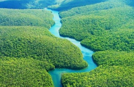 Ecuador, il governo mette all'asta la foresta amazzonica