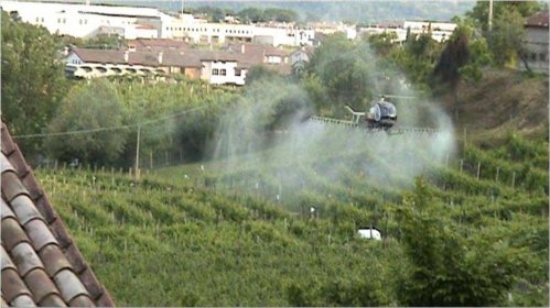 Il vino fa buon sangue, i pesticidi no