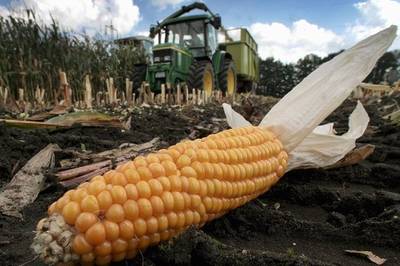 OGM: “subito decreto o contaminazione inevitabile”