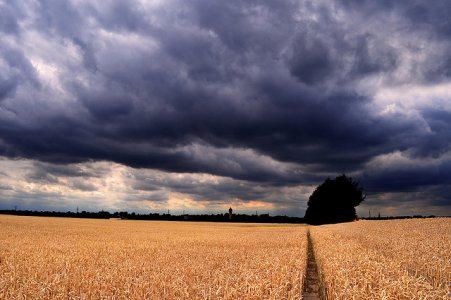 Aree agricole, nel mondo l'84% è a rischio