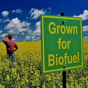 Biocarburanti, “occasione persa per il Parlamento europeo”