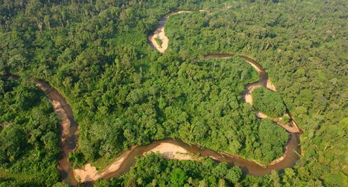 Trivellazioni nel Parco Yasunì: addio al piano per salvare gli ecosistemi dell'Ecuador