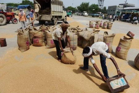 Spreco di cibo e impatto ambientale, presentato Rapporto FAO 