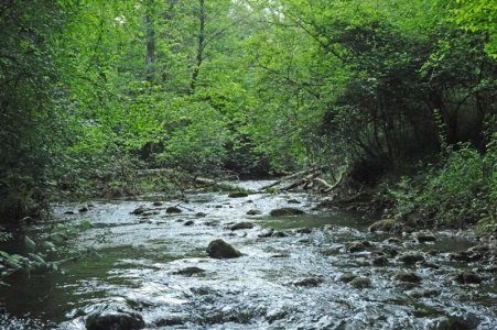 La fine dei fiumi