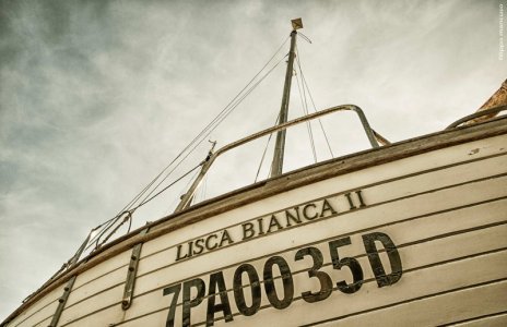 LiscaBianca cerca equipaggio per impresa epica