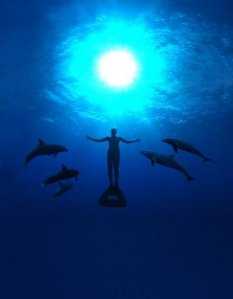 Delfini, contro la mattanza di Taiji il primo passo lo fanno le donne