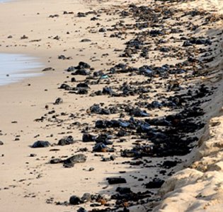 Porto Torres, il silenzio copre la marea nera