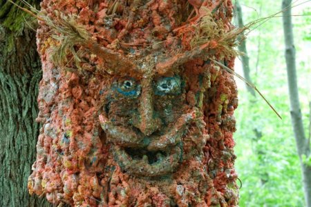 VIDEO - L’Albero Vagabondo insegna ad amare le montagne