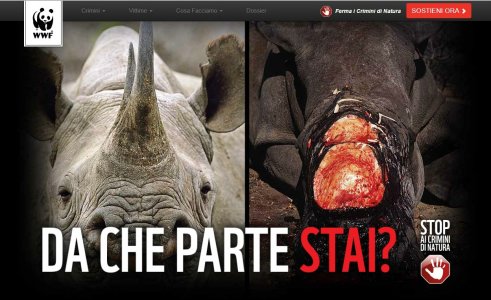 Wwf: «Il crimine usa la natura per finanziare guerre e terrorismo»