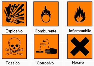 «L’era della chimica sta accelerando e scombinando l’evoluzione»: l’allarme di Emily Monosson, biochimica e tossicologa