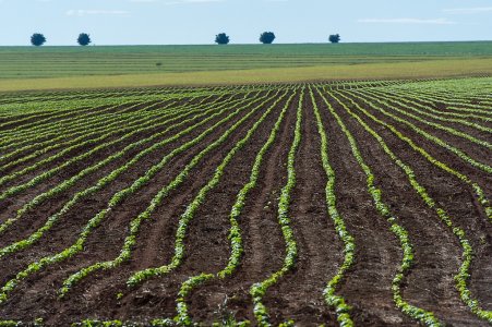 Una manciata di gruppi privati possiede la maggior parte della terra in Europa