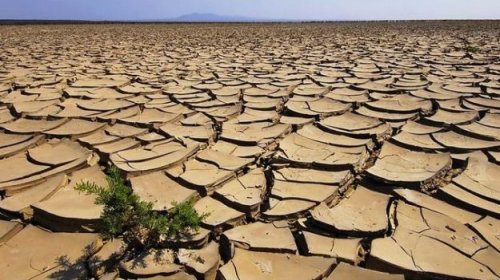 Per preservare la sovranità alimentare bisogna preservare il clima