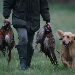 Oggi apre la caccia...come sempre in deroga alla legge