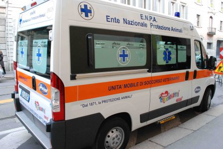Sulle strade arriva 'Isotta', la prima ambulanza per gli animali