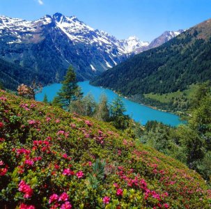 Firma anche tu per salvare il parco dello Stelvio