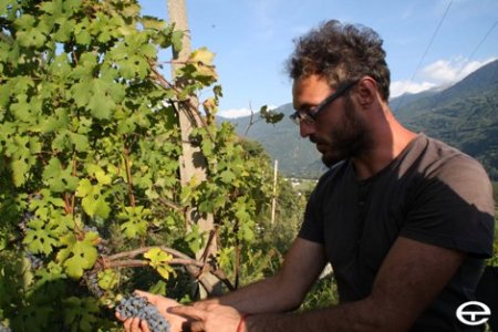 “Ritorno in Valtellina per dedicarmi alla viticoltura eroica, camminando controvento”