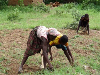 L’agroecologia potrebbe raddoppiare la produzione di cibo