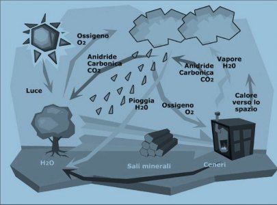 Energia per il futuro: considerazioni sulle biomasse a uso energetico 