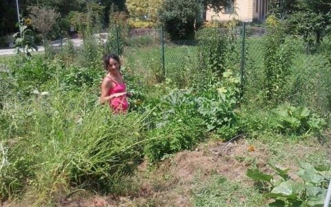 Sara, dalla metropoli alla social farm