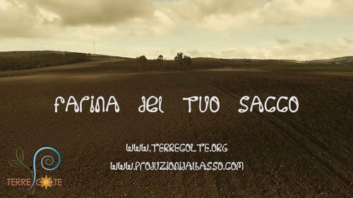 Adotta un campo di grano e sarà tutta farina del tuo sacco!