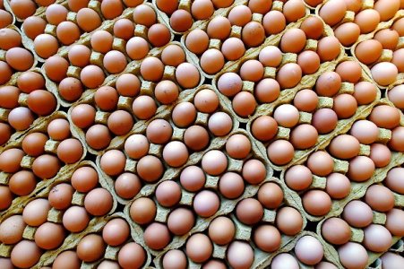 Uova al fipronil: si estendono sequestri e ritiri dal mercato