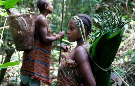 Survival e Wwf: rotta la trattativa per salvaguardare i diritti dei nativi in Africa