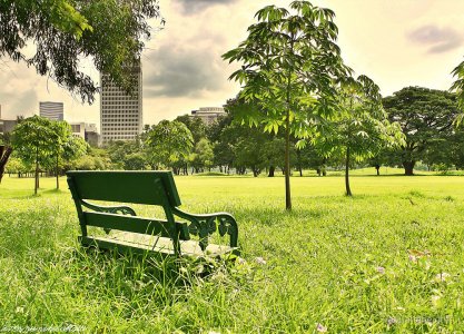 Costruiamo i nostri angoli green anche in città