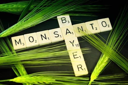 La UE benedice la fusione Bayer-Monsanto e spunta una riunione segreta...