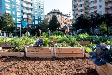 Gli orti urbani fanno bene all'ambiente, alla società e all'economia