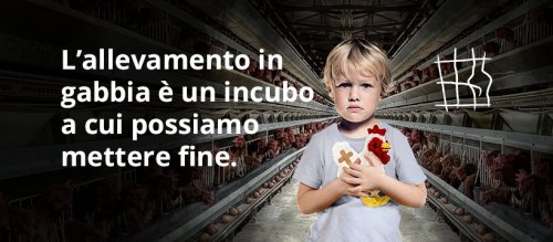 Stop agli animali allevati in gabbia: partita la raccolta di firme