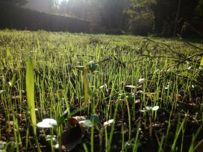 Entroterra, il progetto di agricoltura sociale che si apre al disagio psichico