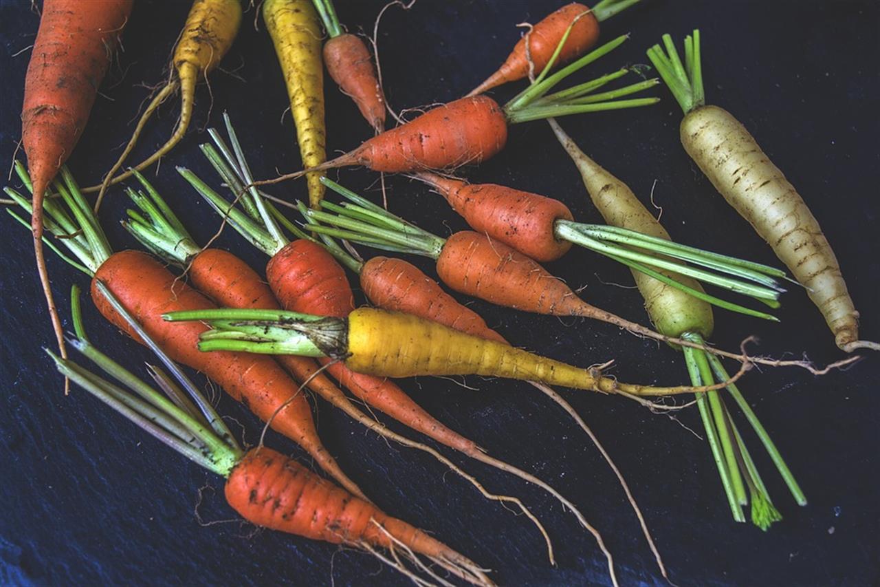 Gli alimenti trattati chimicamente devono costare di più rispetto a quelli biologici