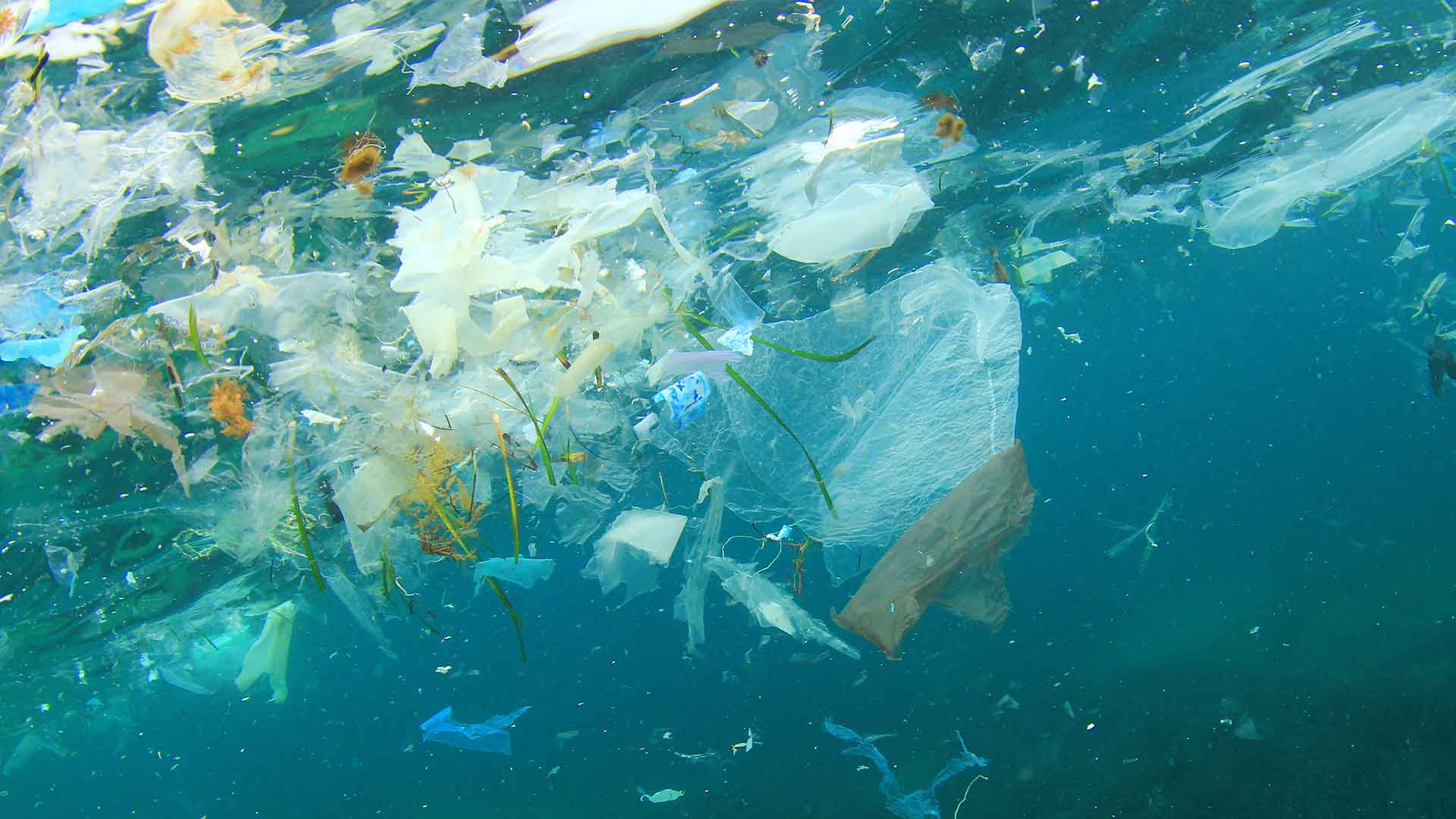 Pescatori-spazzini, ora potranno ripulire i mari dalla plastica
