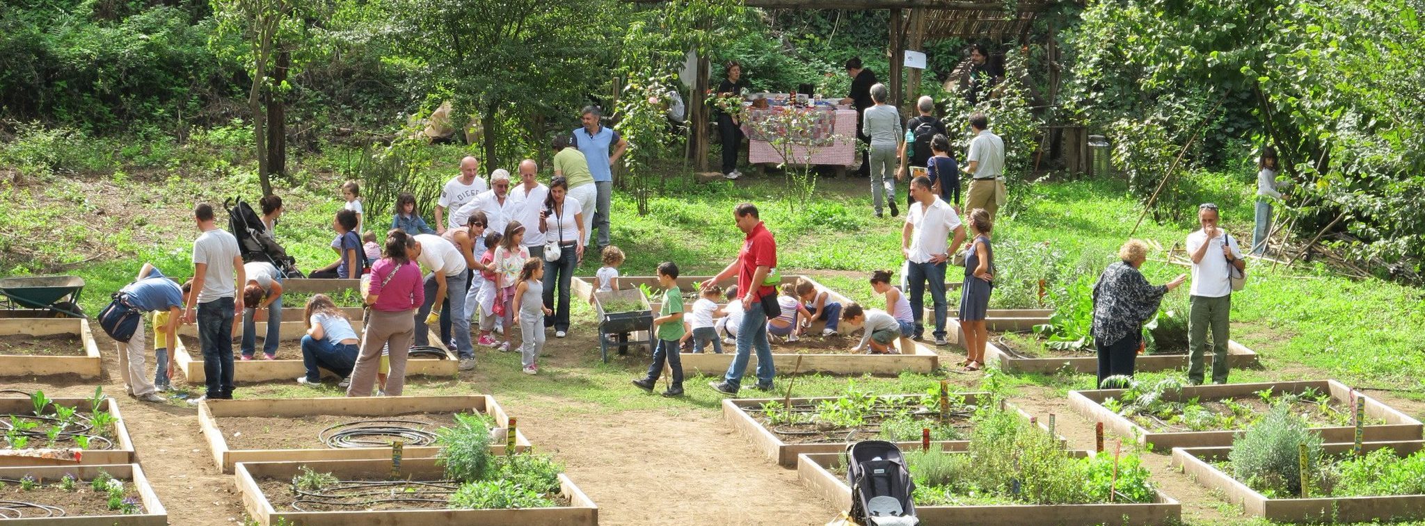 A Roma un orto urbano per ogni quartiere: il progetto