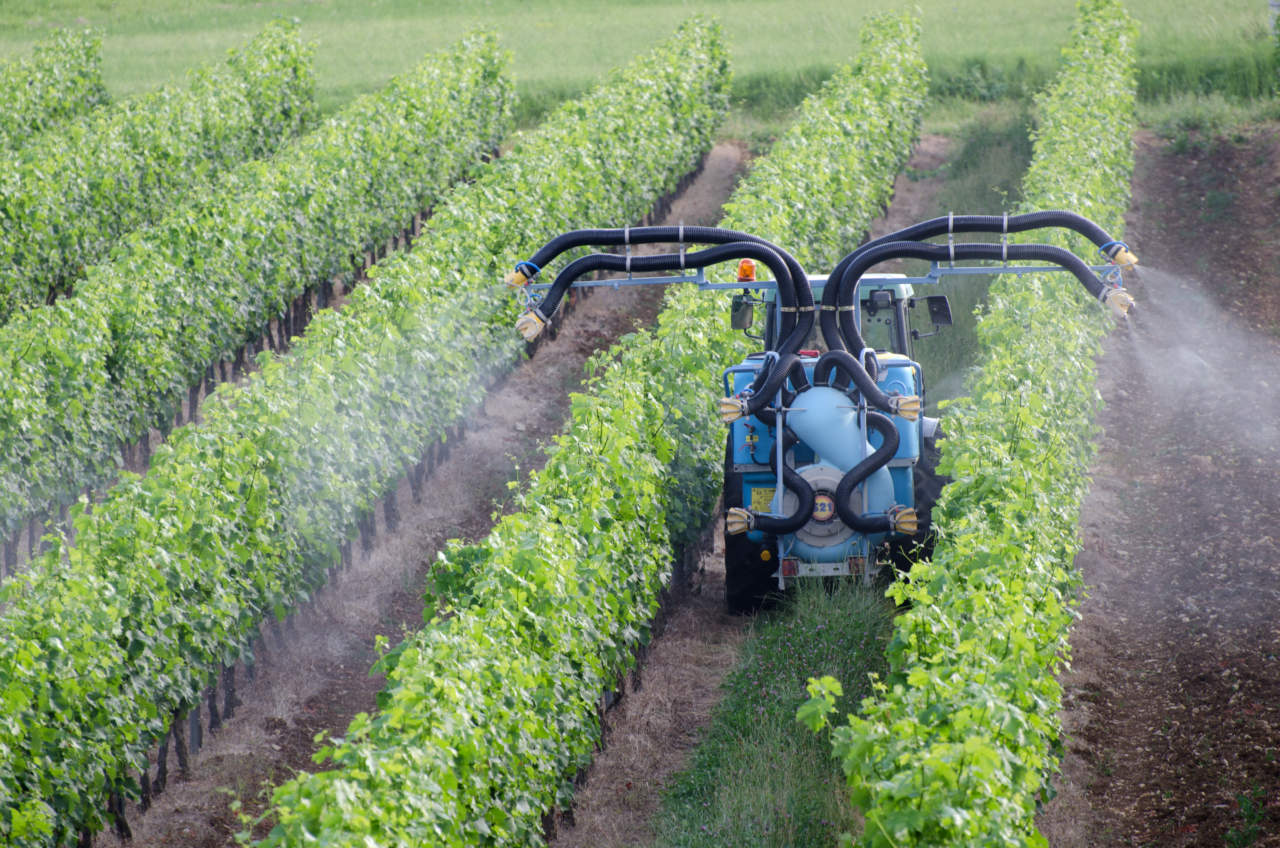 L’Unesco premia l’inquinamento e la chimica delle colline venete