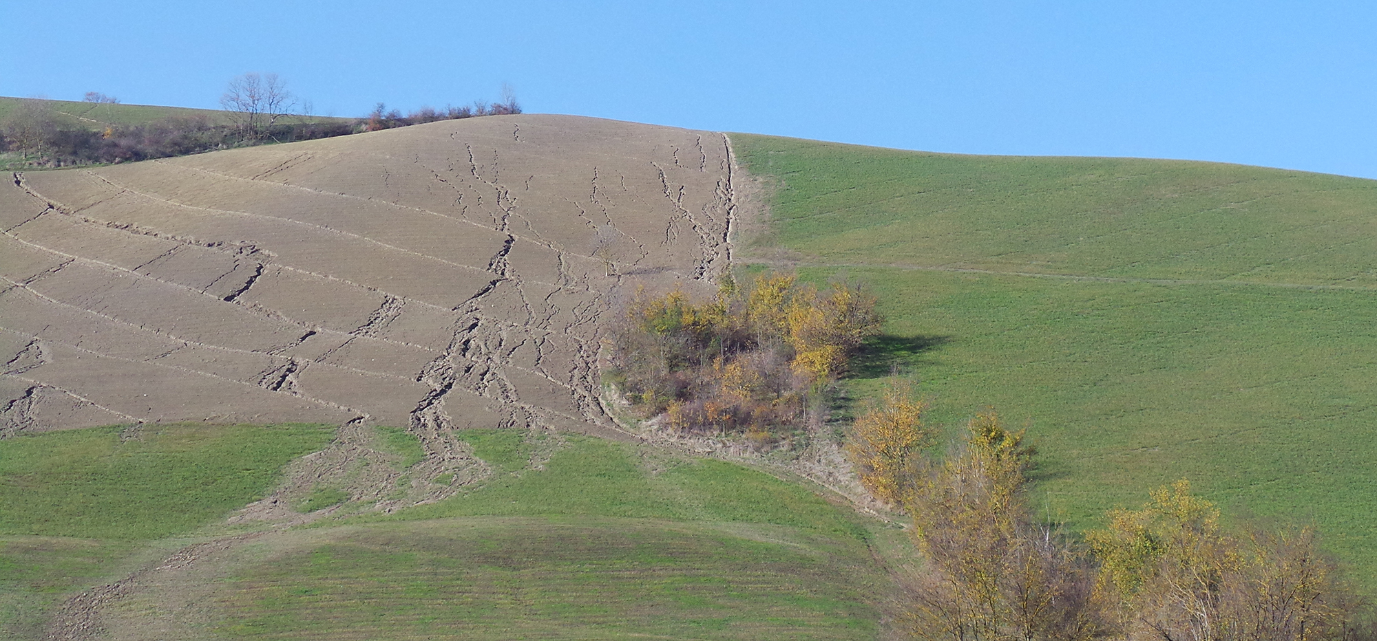 Erosione del suolo sulle colline del Prosecco: ecco lo studio