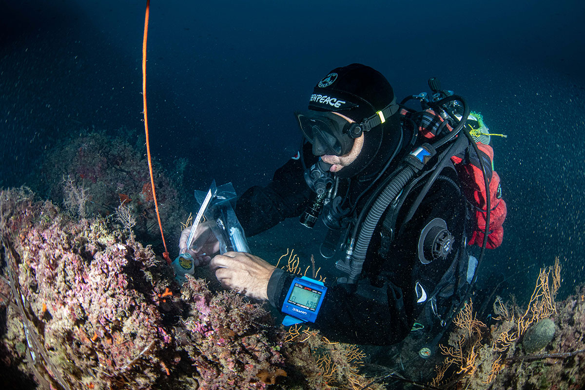 Mare o brodo caldo? Il riscaldamento globale sconvolge anche le acque del pianeta