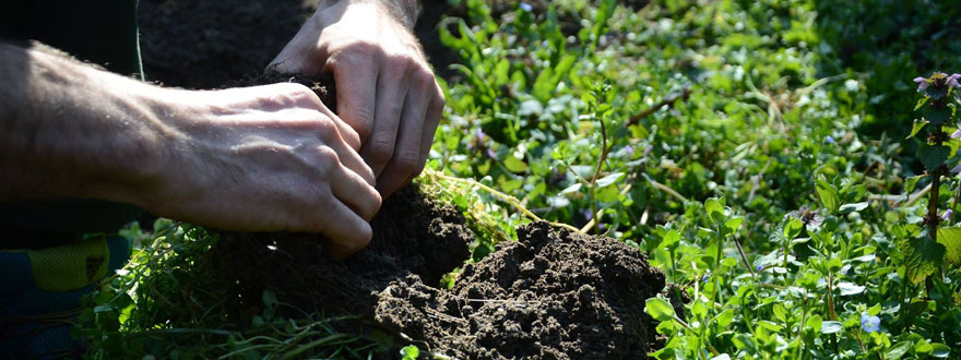 Comunità, autosufficienza, ritorno alla terra e resilienza: questo è quello che ci serve