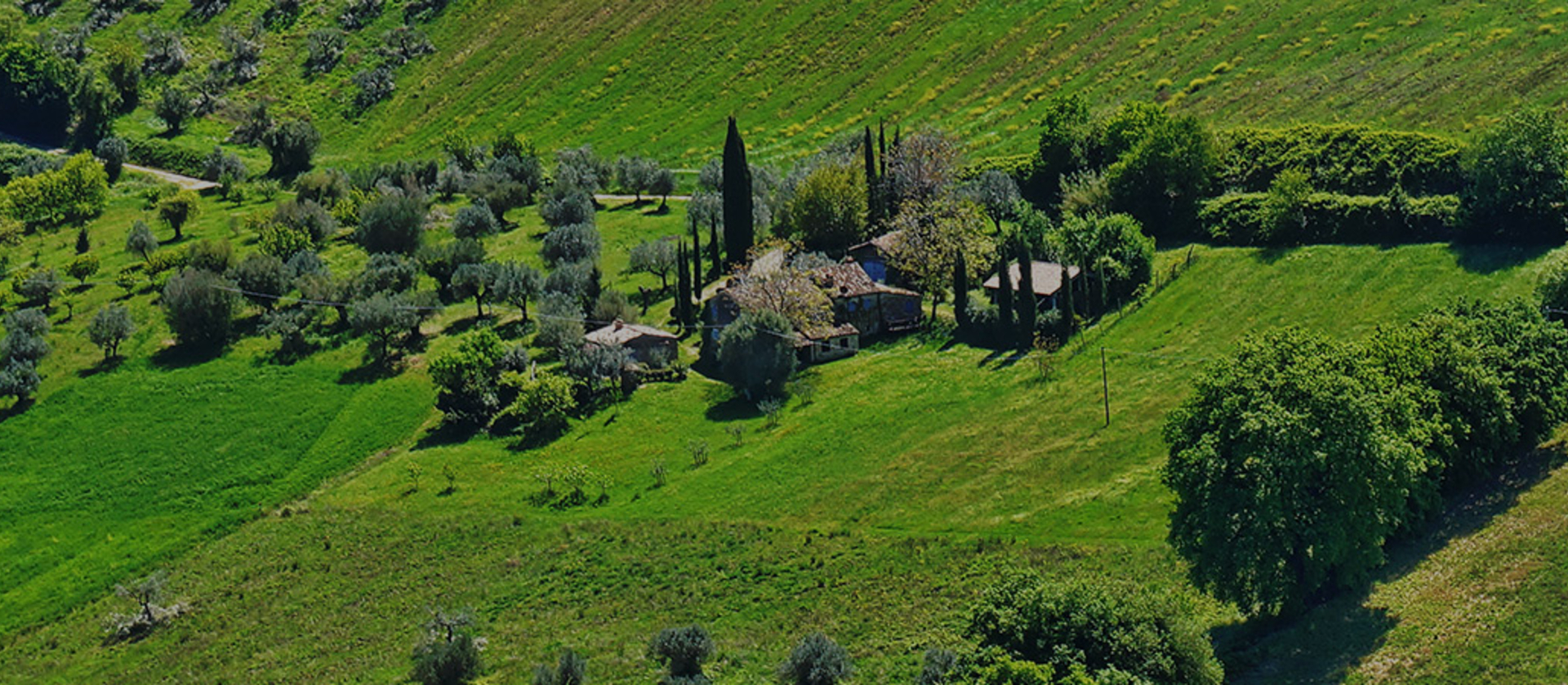 Fabio, il poeta contadino: «La terra è sincera, è il presente e il futuro»