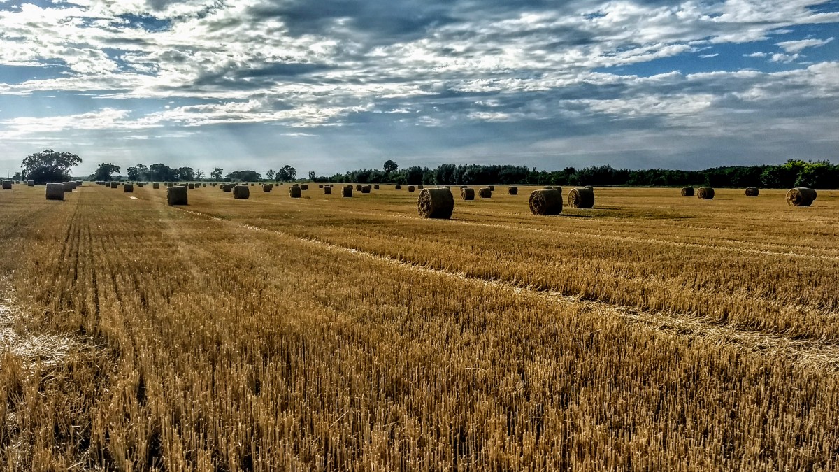 #CambiamoAgricoltura: «Italia delude, nessun impegno serio e tante contraddizioni»