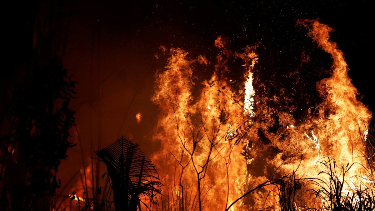 Amazzonia brasiliana: boom di incendi, anche nelle riserve naturali protette