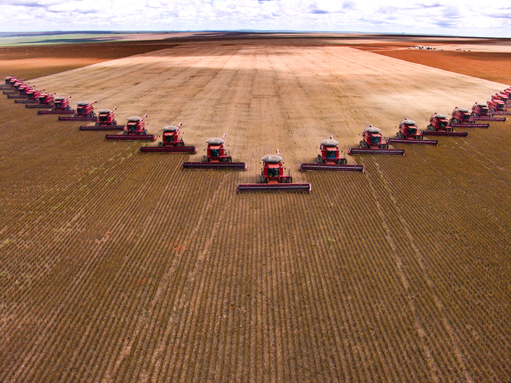 L'agricoltura chimica e gli allevamenti intensivi hanno spazzato via 4 milioni di aziende agricole in Europa