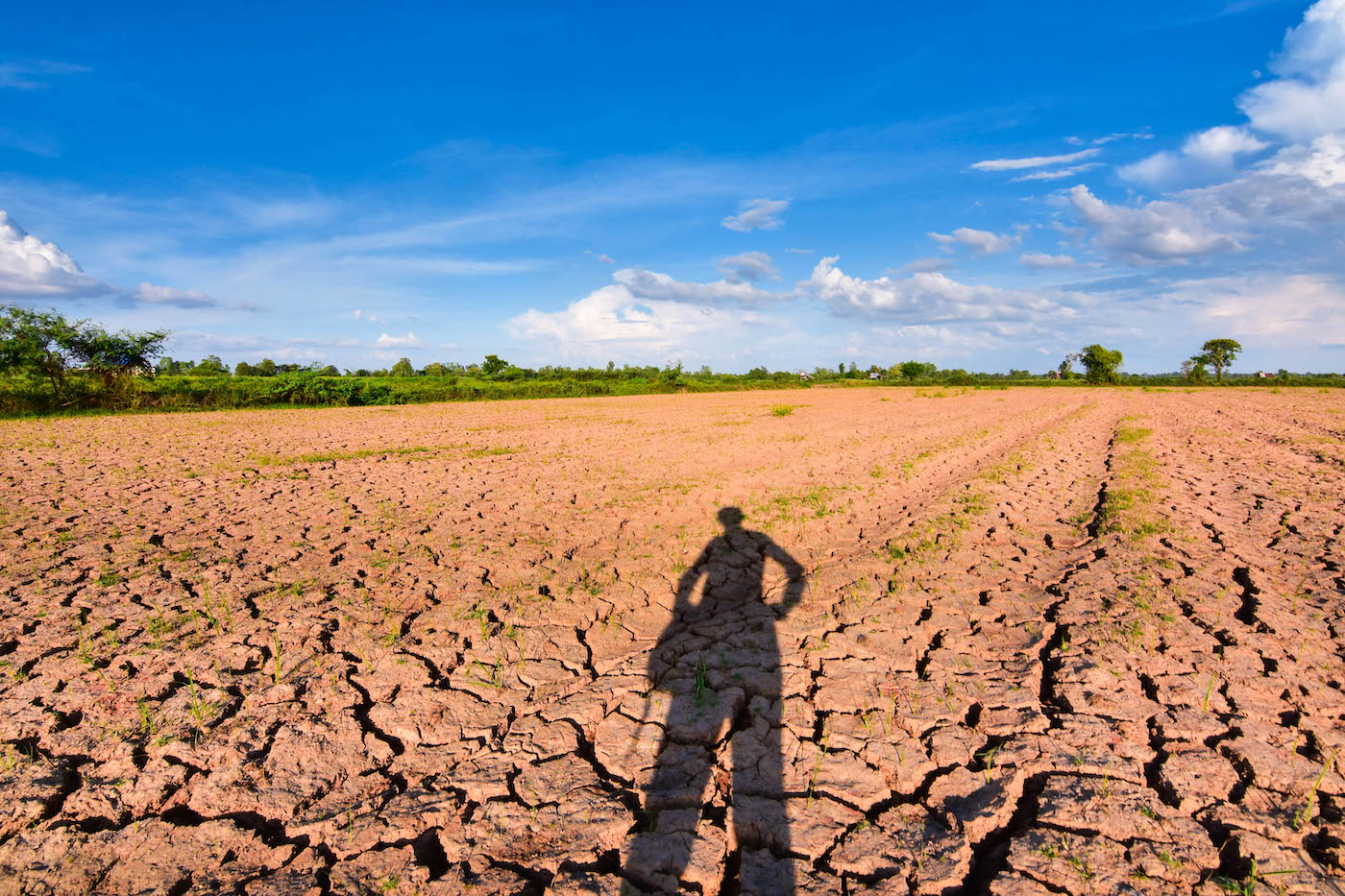 Non piove da mesi, rischio desertificazione. Ma cosa ci importa, tanto siamo vaccinati!