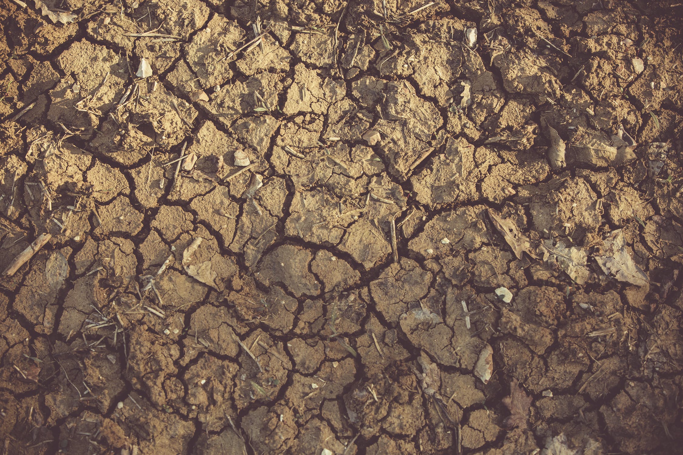 L'UNCCD: entro il 2050 la siccità potrebbe colpire più di tre quarti della popolazione mondiale