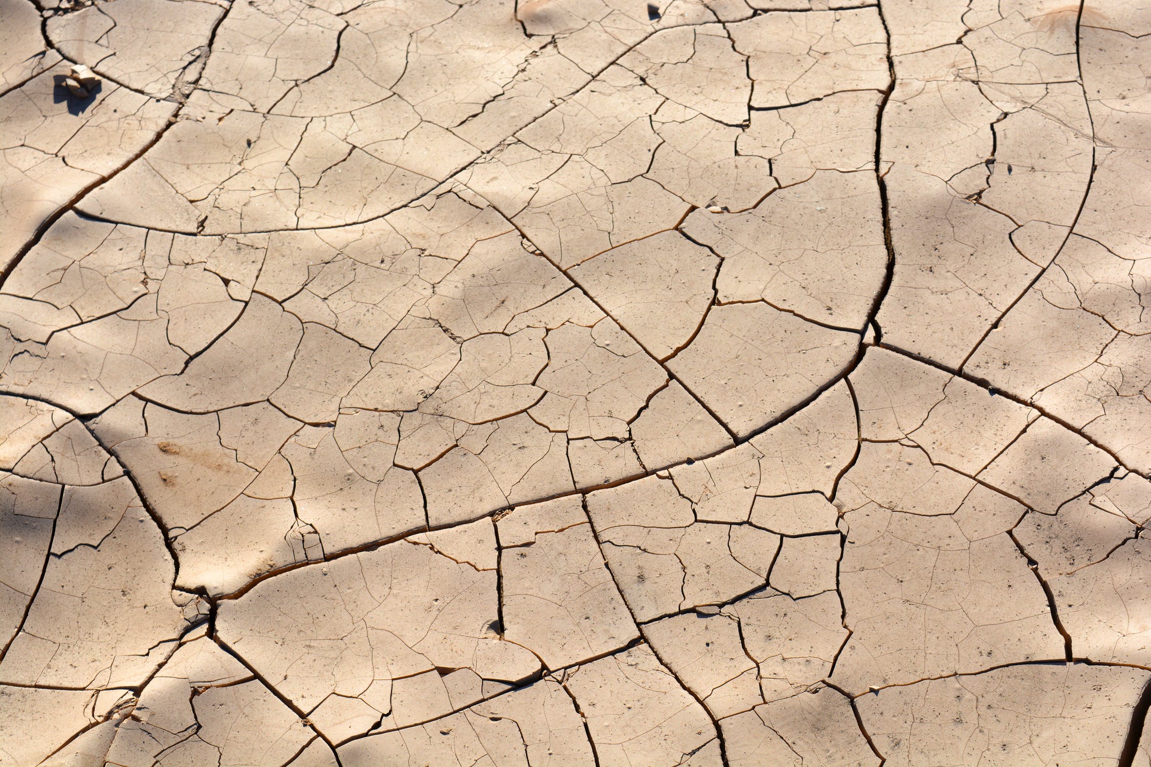 Ispra: «Desertificazione e degrado, segni evidenti nel 28% del territorio italiano»